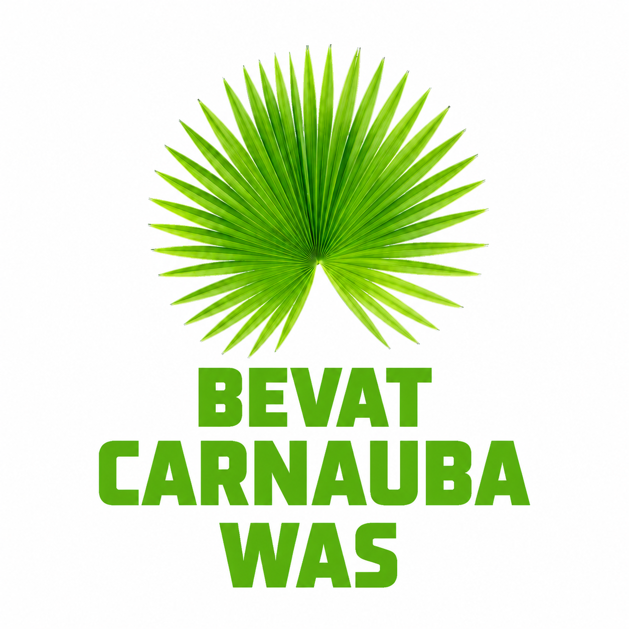 carnaubawas logo wit